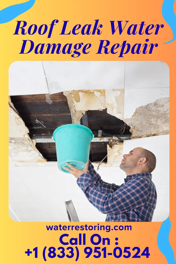 Roof Leak Water Damage Repair in Lakewood, WA