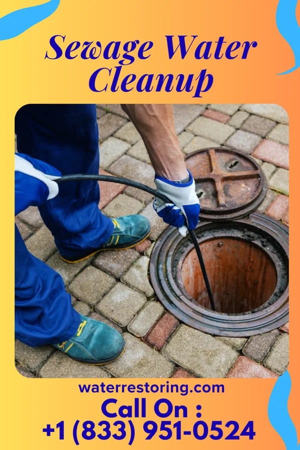 Sewage Water Cleanup in Lakewood, WA
